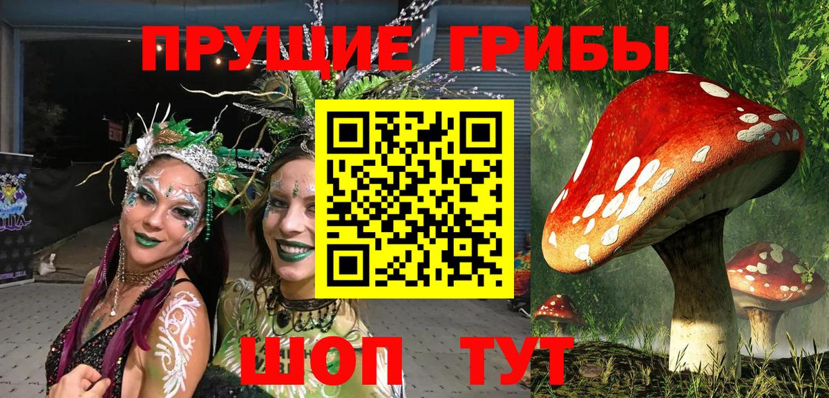Псилоцибиновые грибы Psilocybe  Вход с VPN  Обнинск 