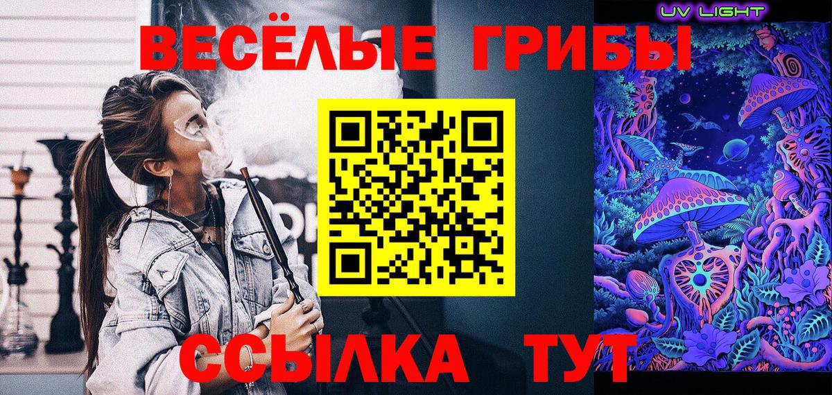 Галлюциногенные грибы мицелий Обнинск